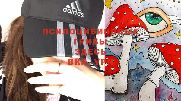 стафф Богородицк