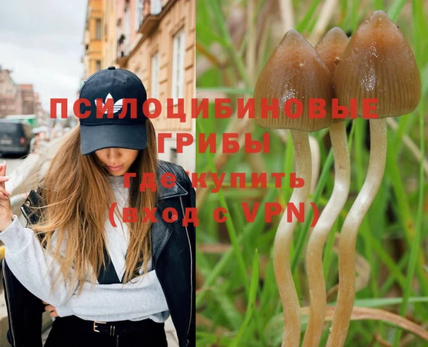 гашиш Богородск