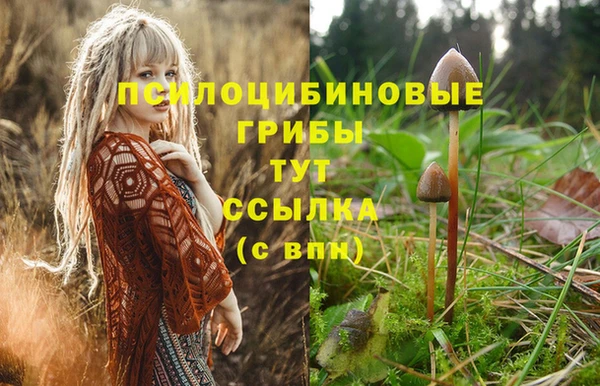 меф Богданович