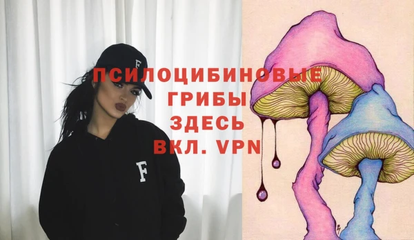 гашиш Богородск